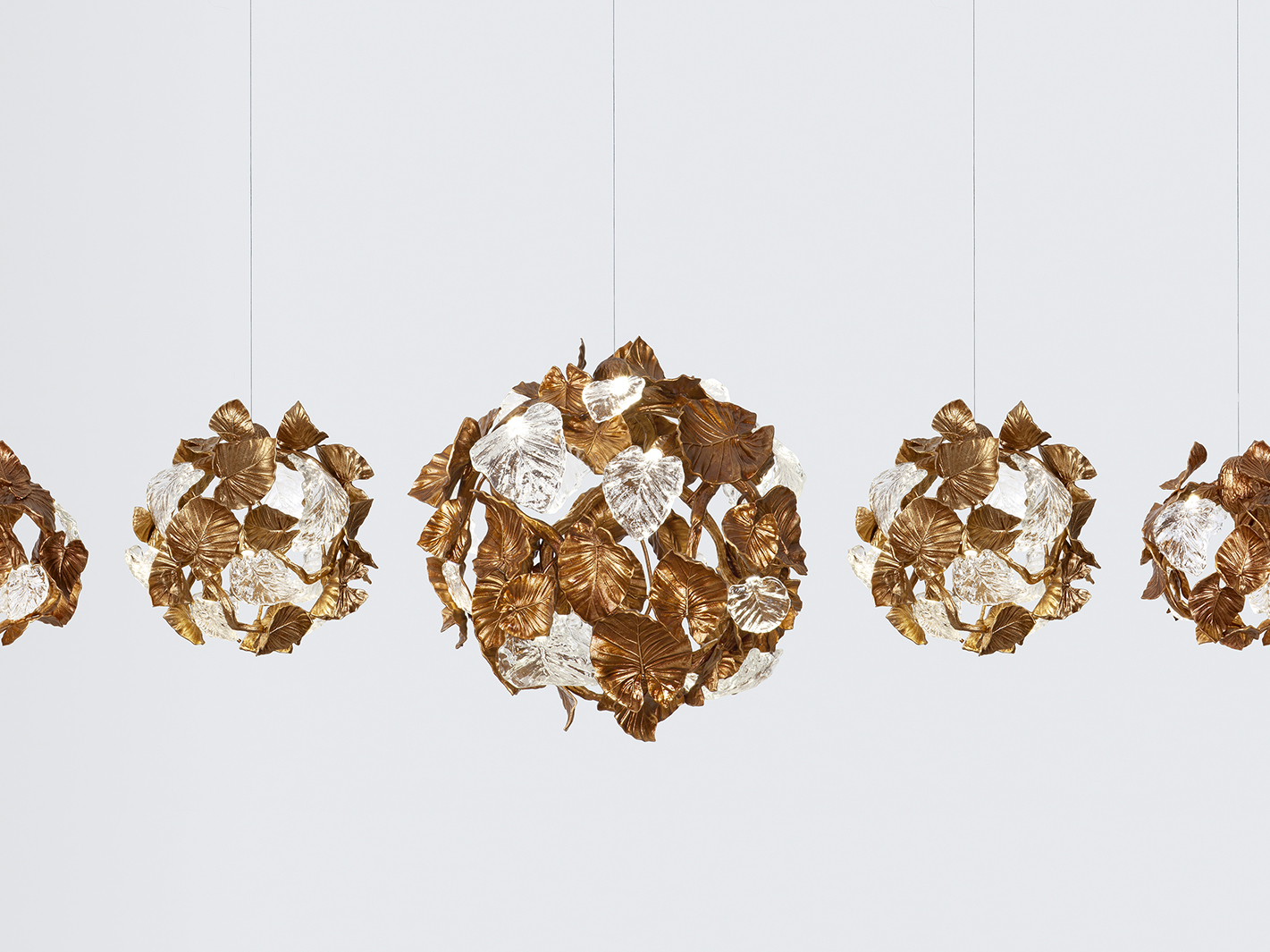 SERIP <br><i> Câu Chuyện Của Tự Nhiên </i>