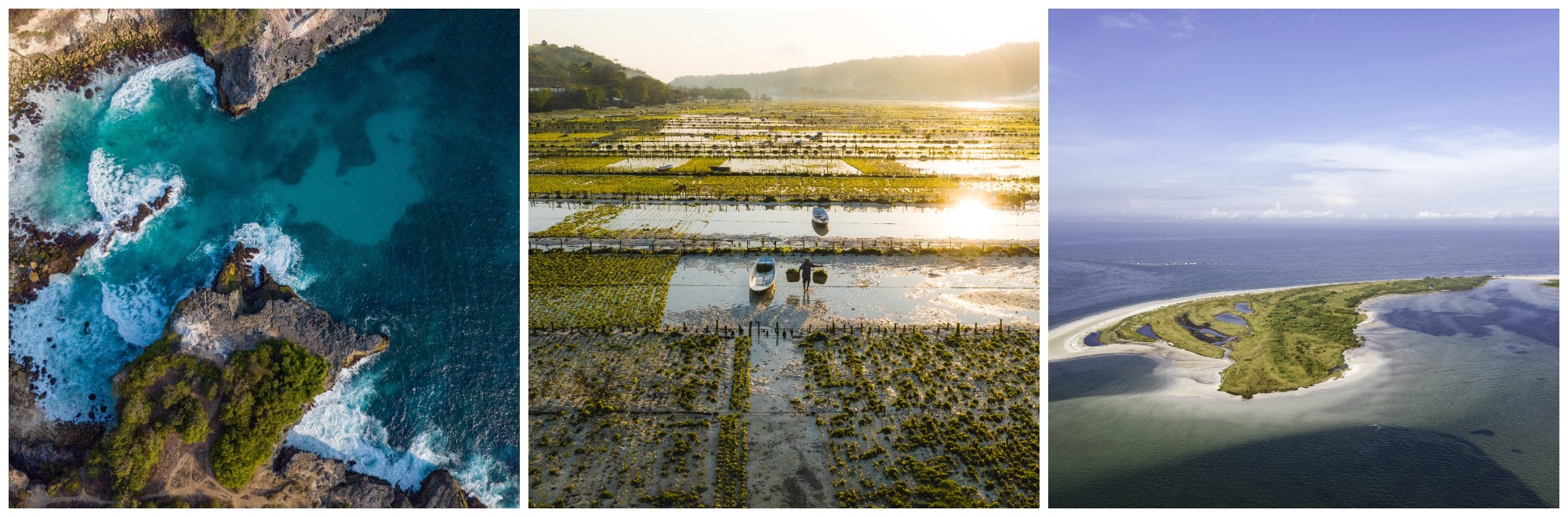 Mission Blue, được Sylvia Earle khởi xướng vào năm 2009