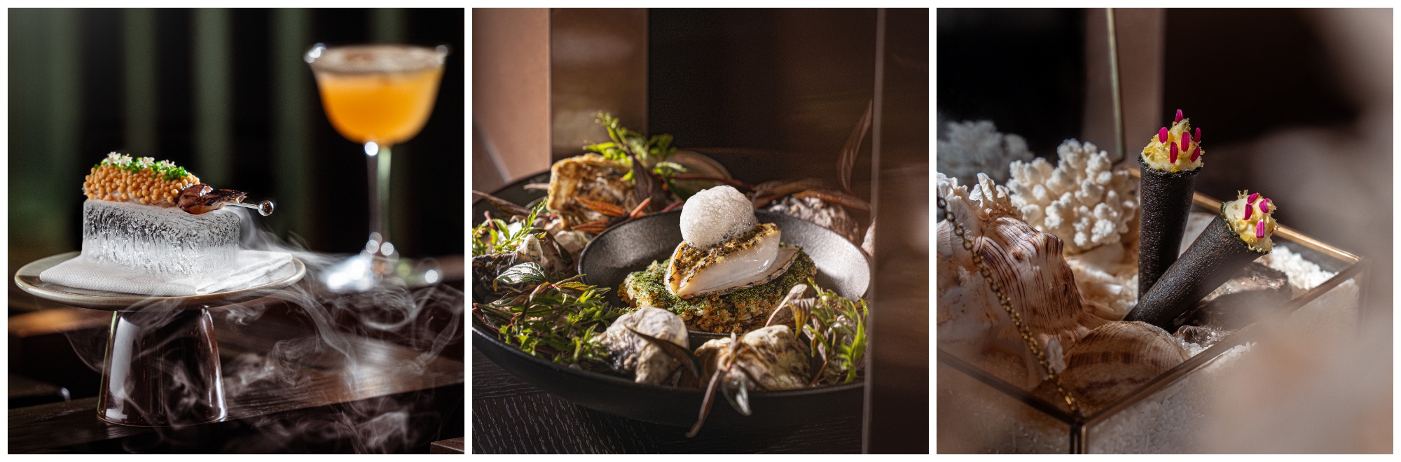 Taste Studio là nơi nghệ thuật gặp ẩm thực