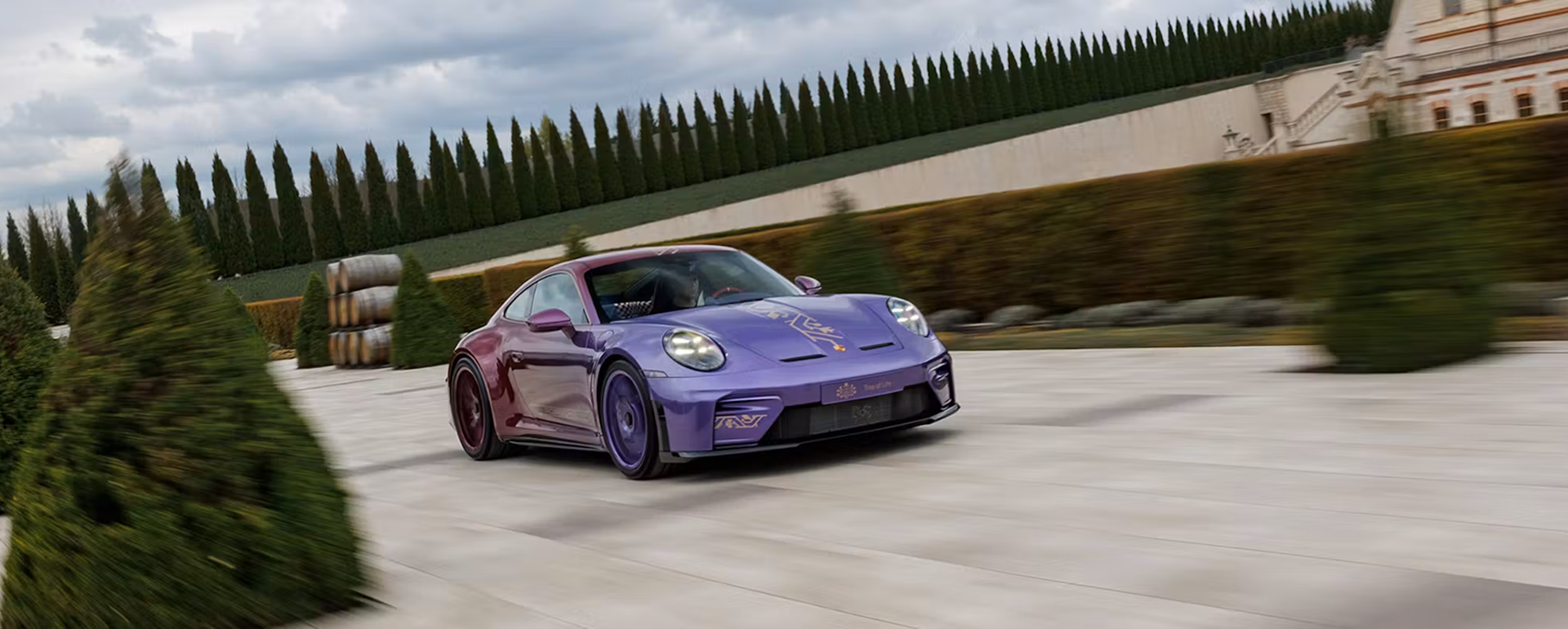 PORSCHE<br> <i>The 911 GT3 with Touring Package “Tree of Life“ </I>